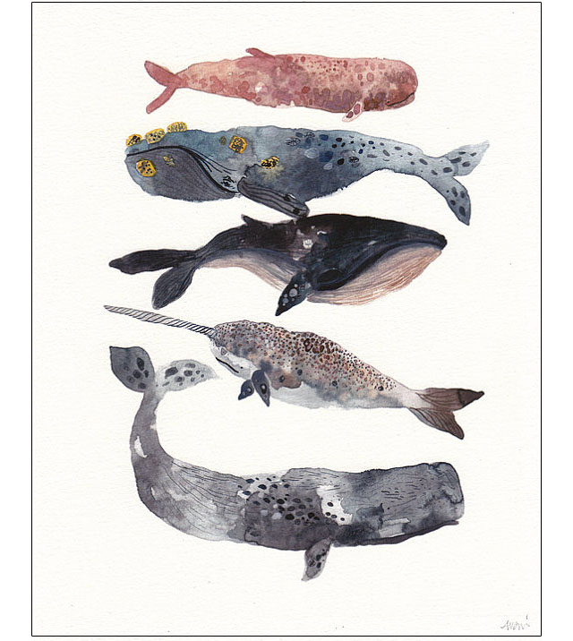 whale watercolor art