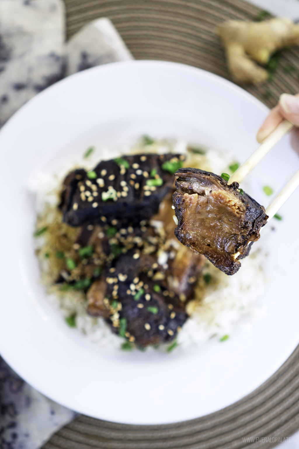 short rib recipe