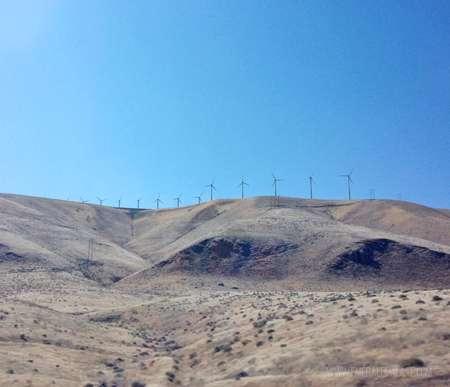 Windmills on the hills of the Walla Walla wine region in Washington state.