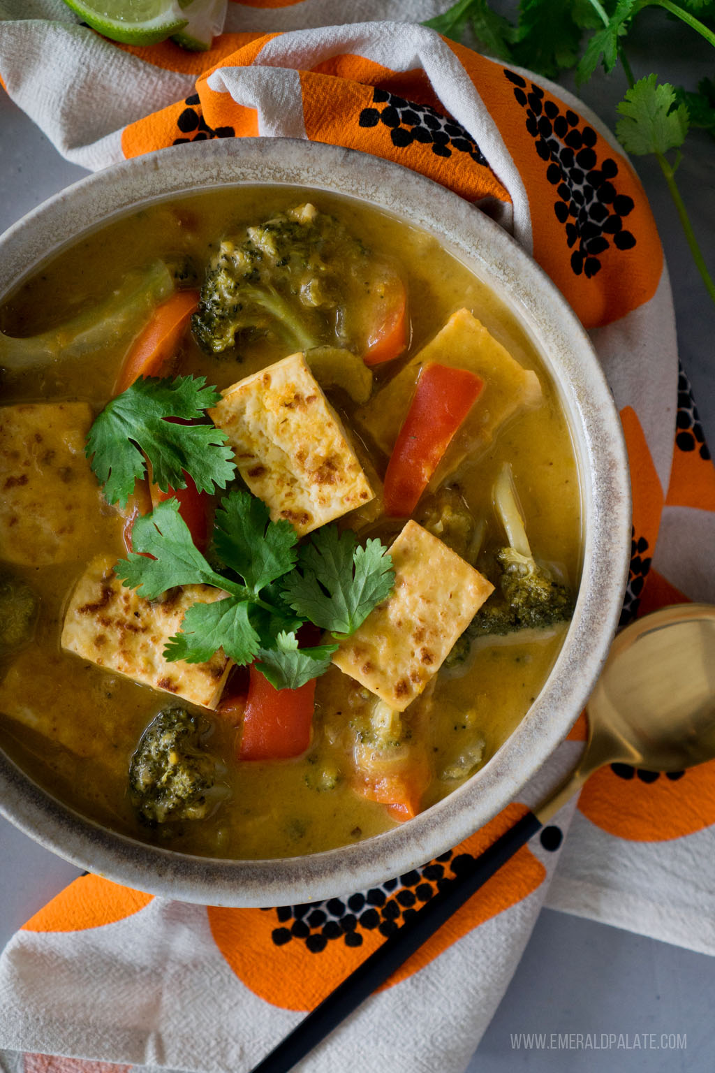 close up of a bowl of vibrant squash curry with tofu