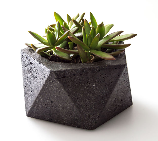 The Savvy Heart concrete succulent plant holder | Interview with the Seattle Home Decor Company
