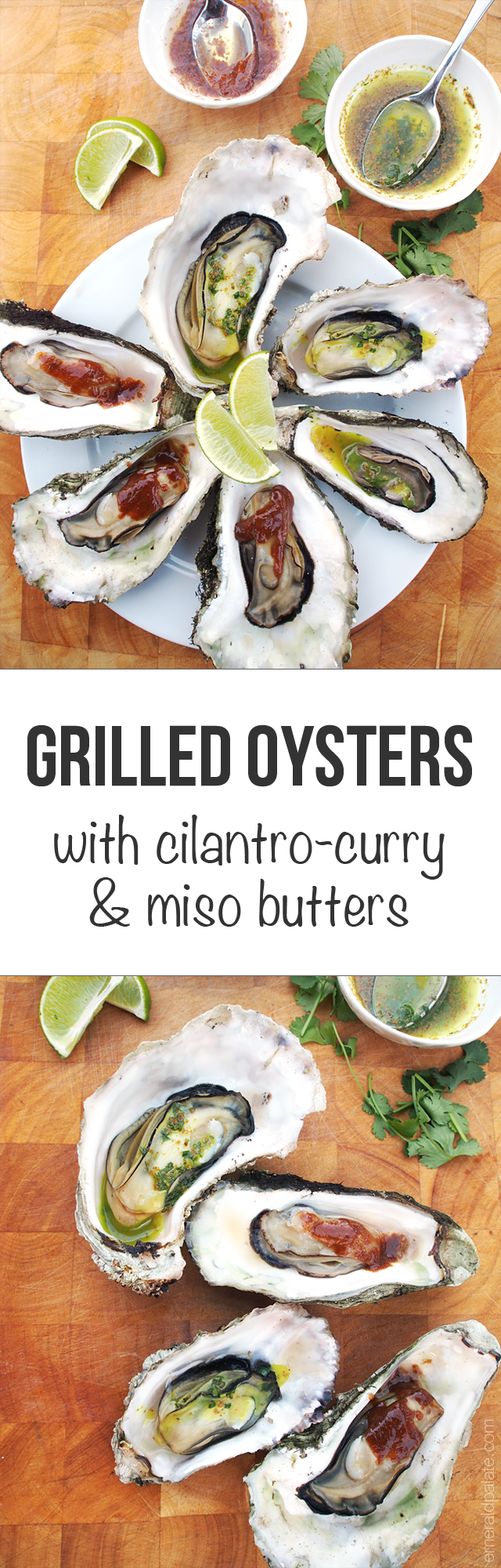 grilled oysters with cilantro-curry & miso butters