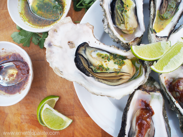 Grilled Hama Hama oysters with cilantro-curry butter and miso buter for dipping. We created this quick recipe after foraging for oysters and clams in Washington!