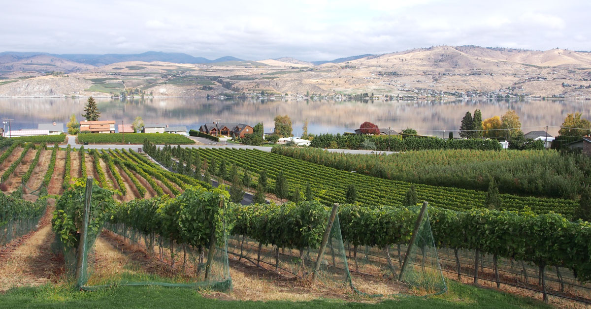 View of Lake Chalen, WA from Nefarious Cellars, one of the best Pacific Northwest wineries.