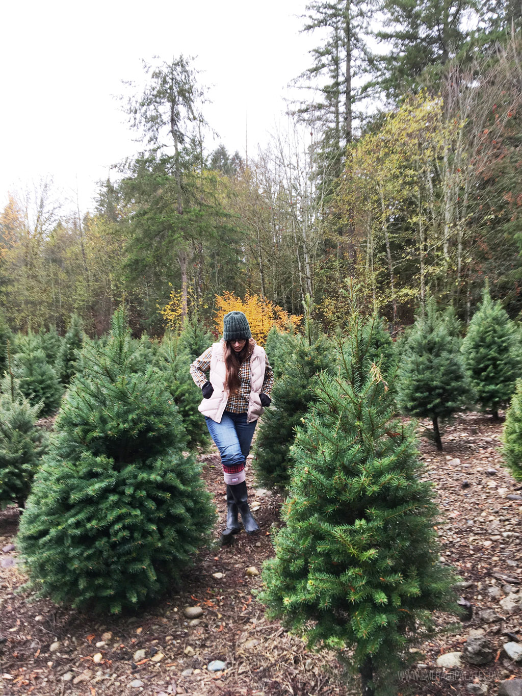 woman walking among Christmas trees