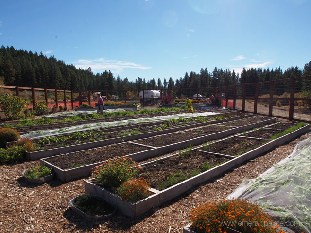 Cle Elum hotel garden