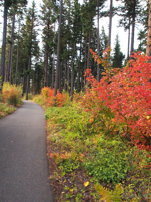 Only 20% of the 6,400 acres at Suncadia Resort in Washington is developed. The majority is wilderness and walking or biking paths like this. 