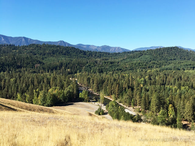 The view from the hotel at Suncadia Resort in Washington