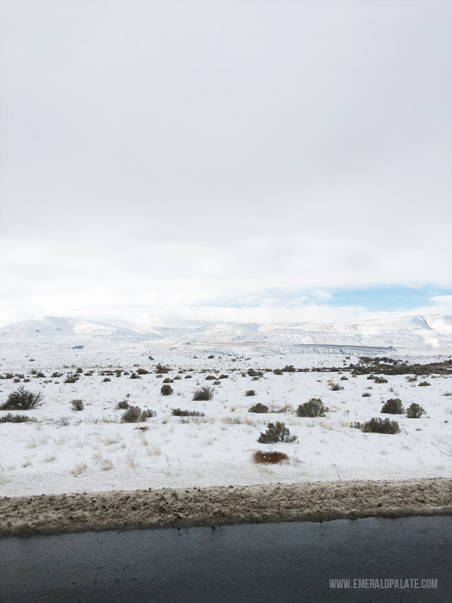 Eastern Washington starts to take on the high desert landscape that you'll find in Idaho. Seen while on a road trip from Seattle to Idaho.