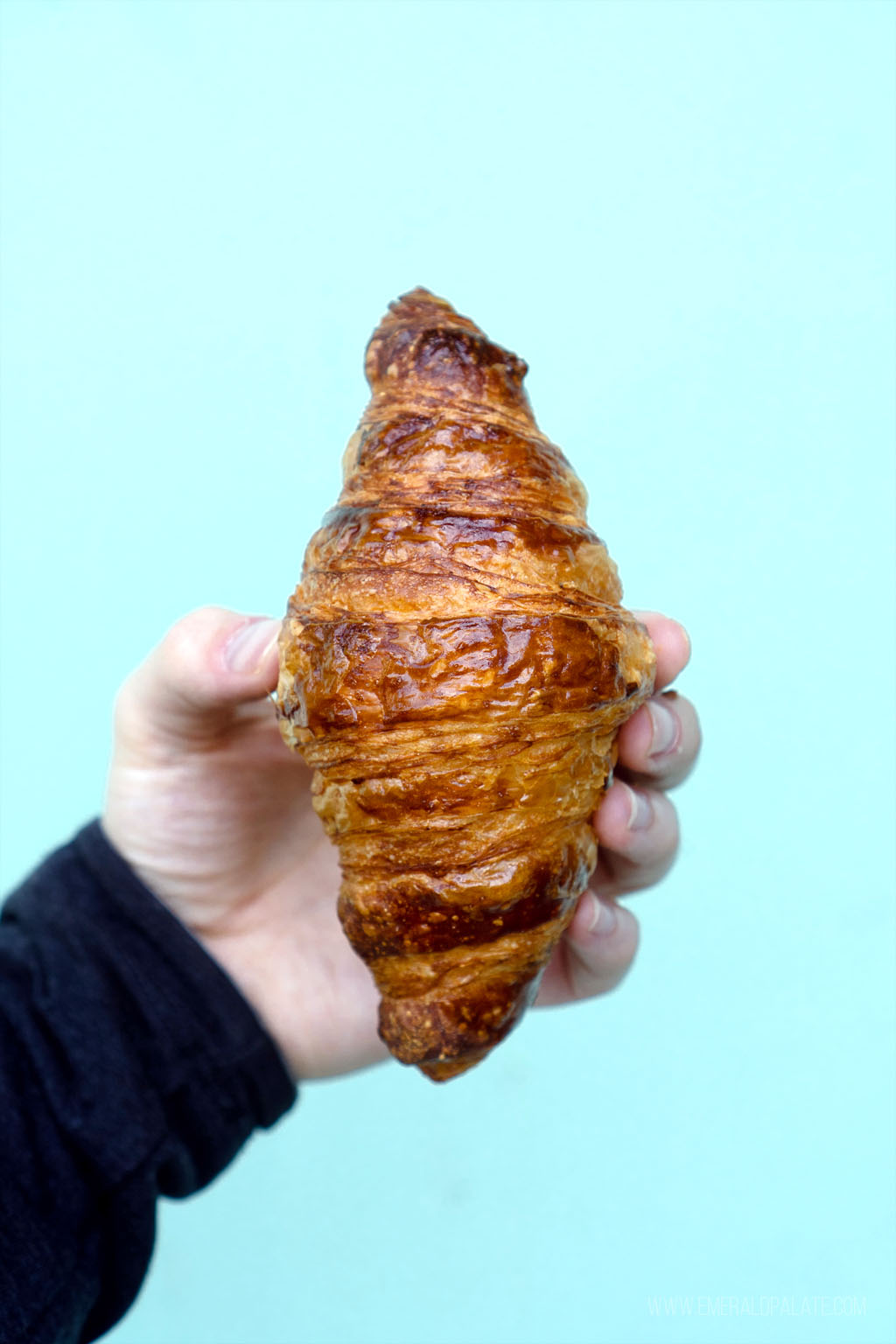 person holding a croissant from an Olympia, Washington bakery