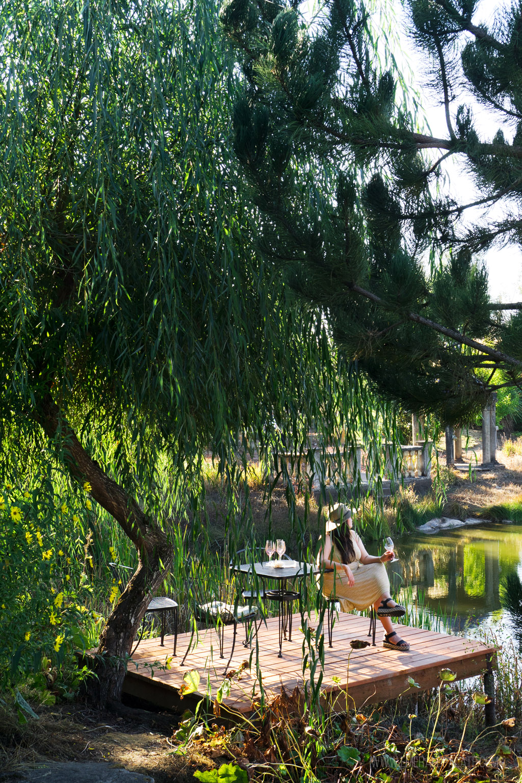 woman wine tasting outside under a weeping willow at one of the best wineries in Willamette Valley