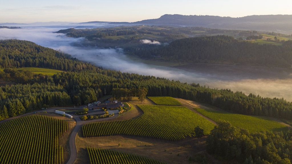 aerial view of one of the best Willamette Valley, Oregon wineries