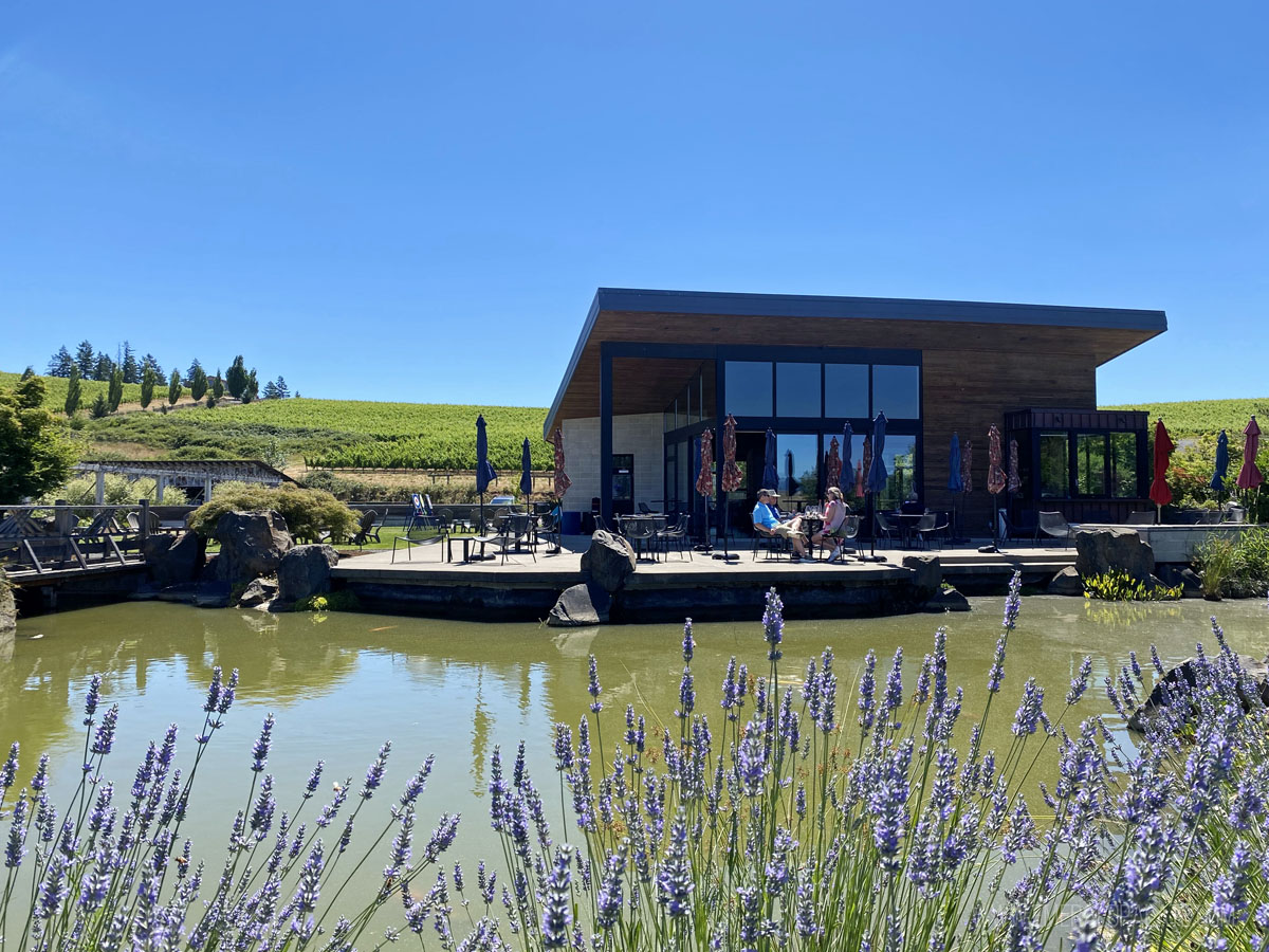 view of a wine tasting room with a pond and lavender in the foreground