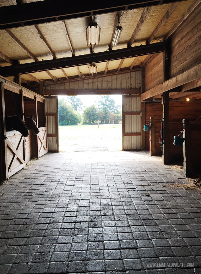 Stables at Century Farm Equestrian Center
