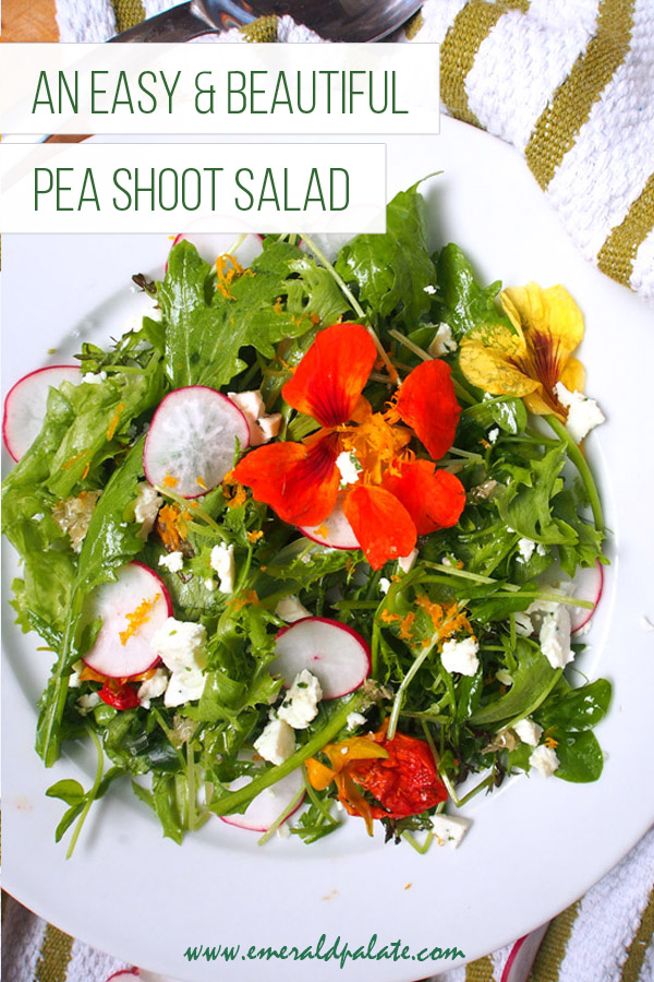 Easy Pea Shoots Salad Recipe