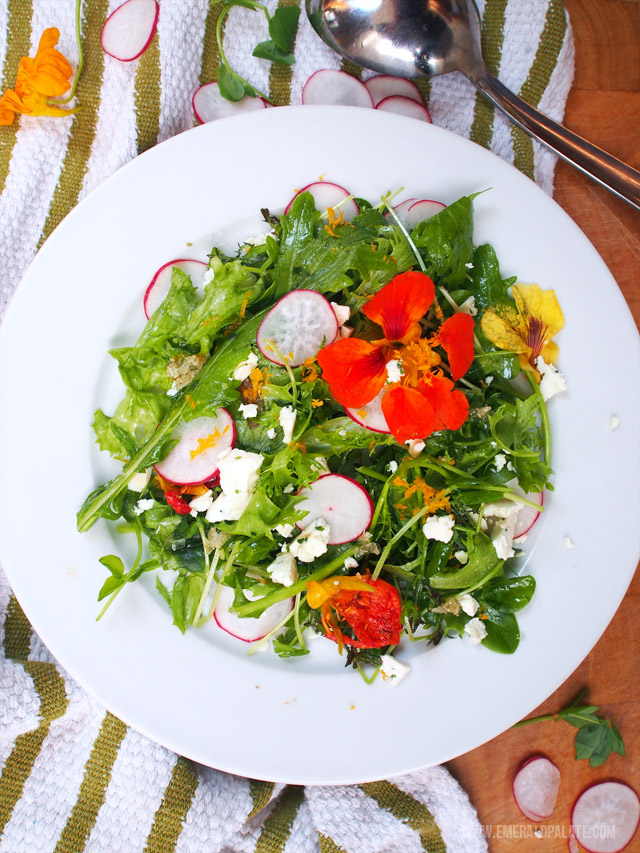A salad with pea shoots, radishes, and chive cheese.