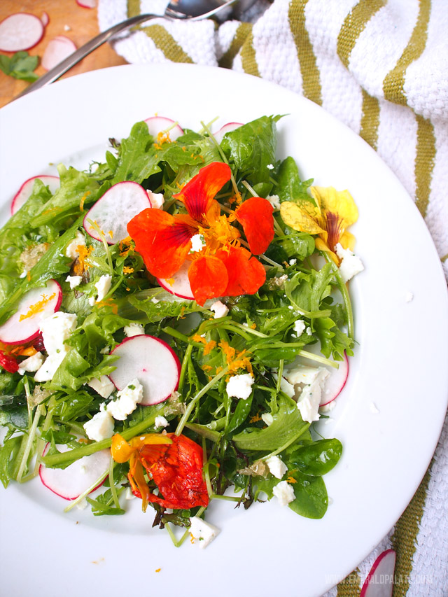 Fresh spring salad recipe