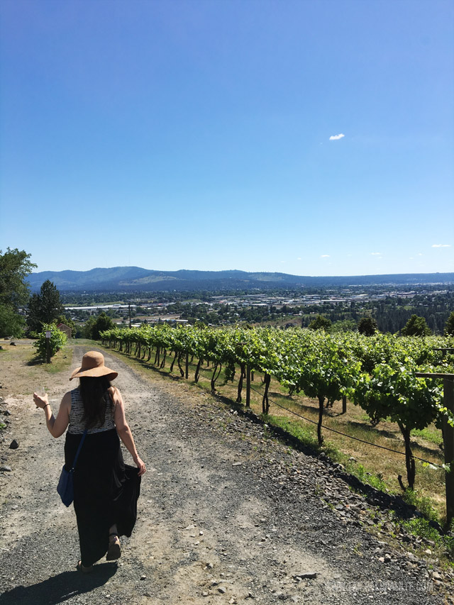 The vineyards at Arbor Crest Cellars 