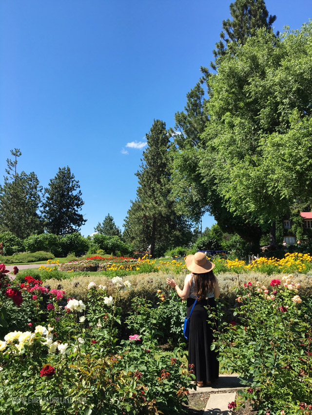 Arbor Crest Cellars wine garden 