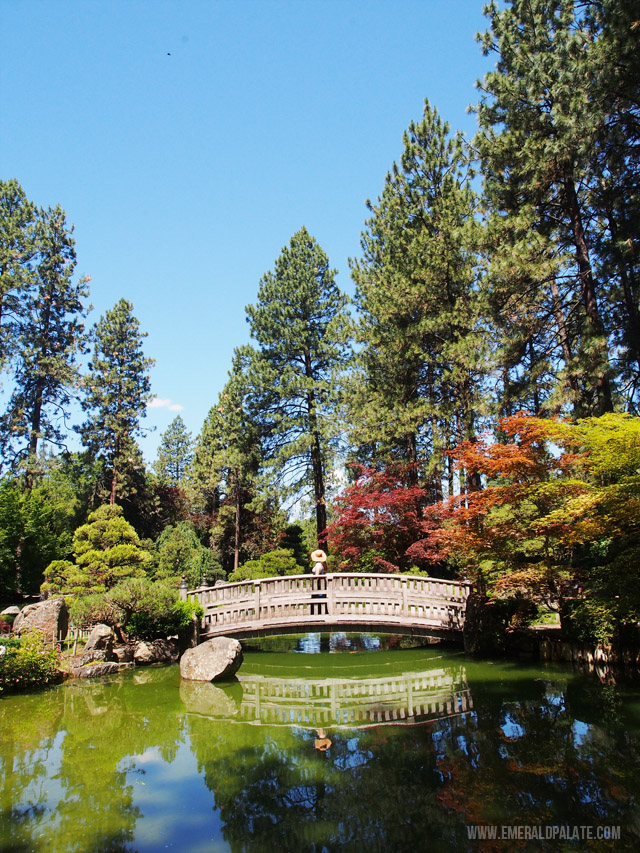 The Japanese Garden in Manito Park