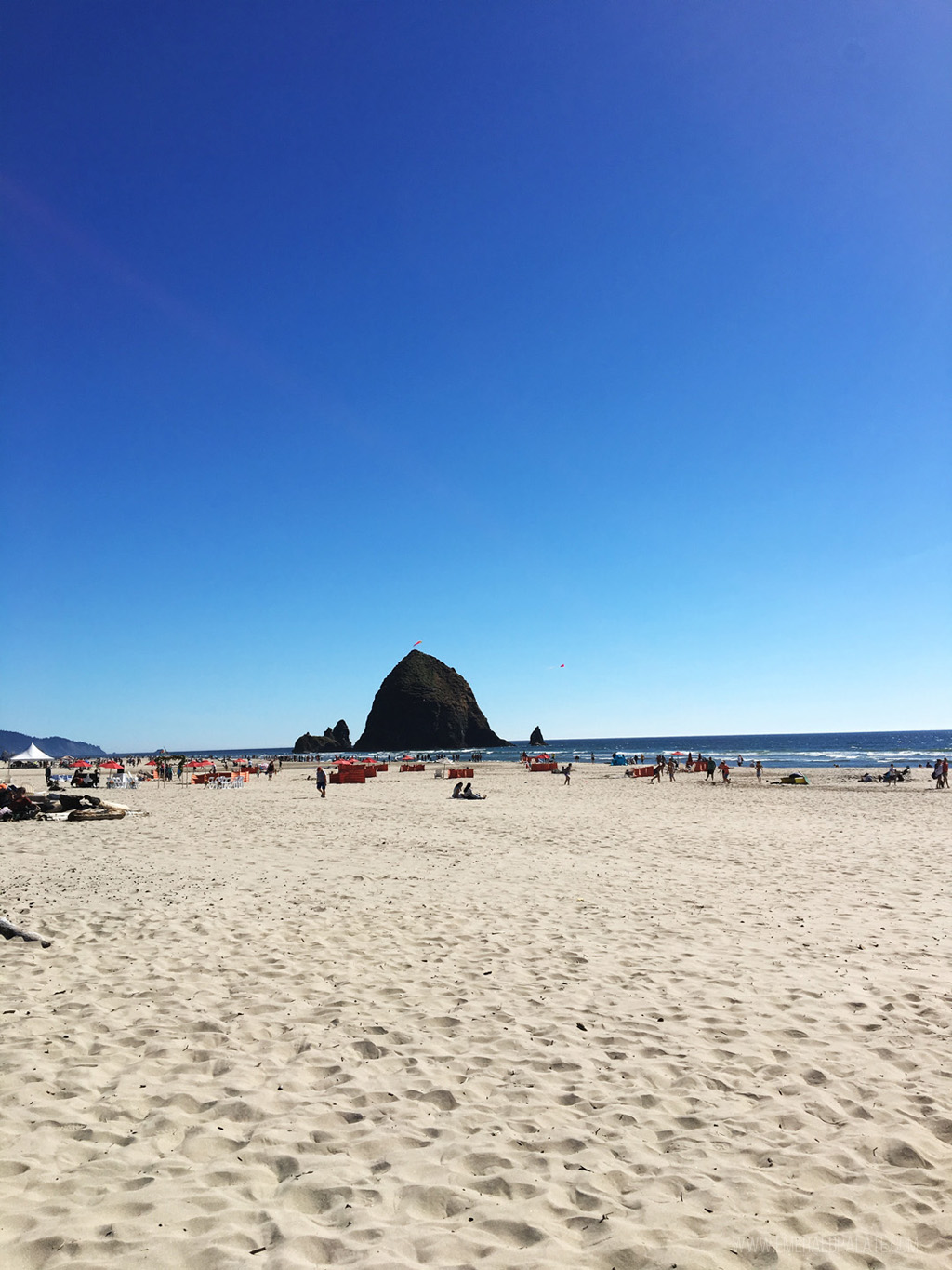 View of Cannon Beach and Haystack Rock 
