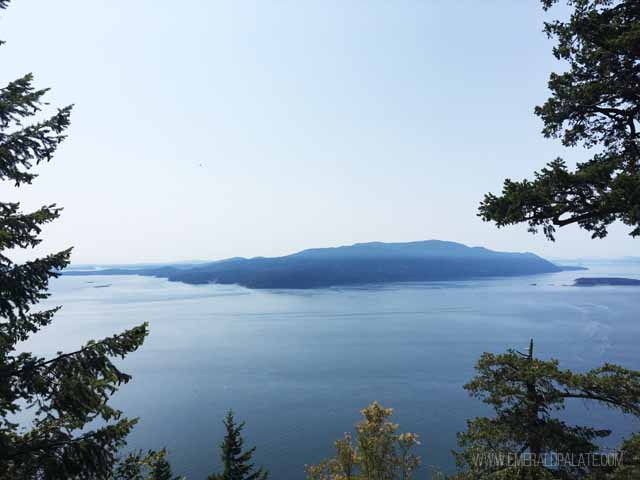 View from the top of the 1.6 mile hike on Baker Preserve