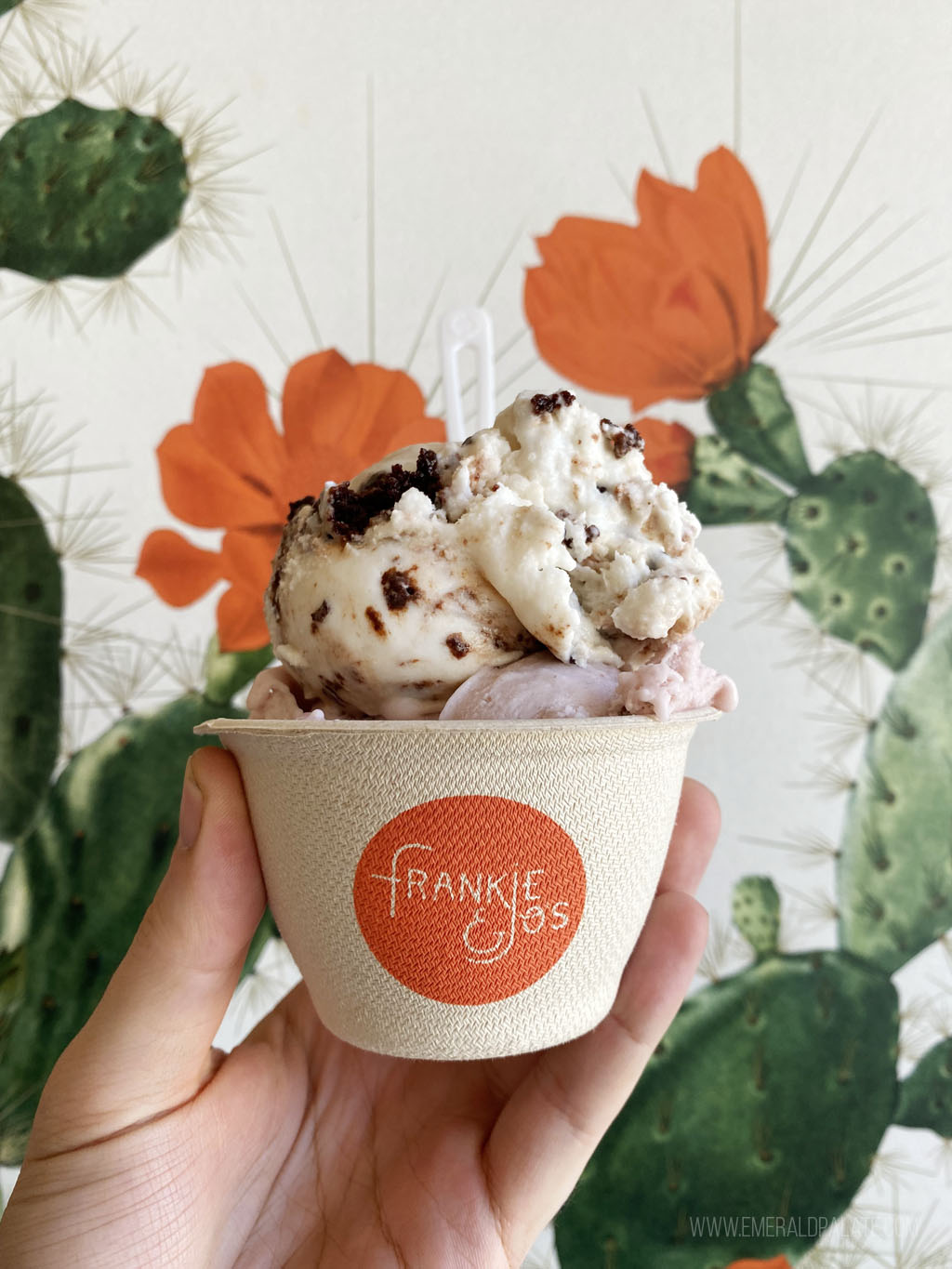 Frankie & Jo's cup of ice cream
