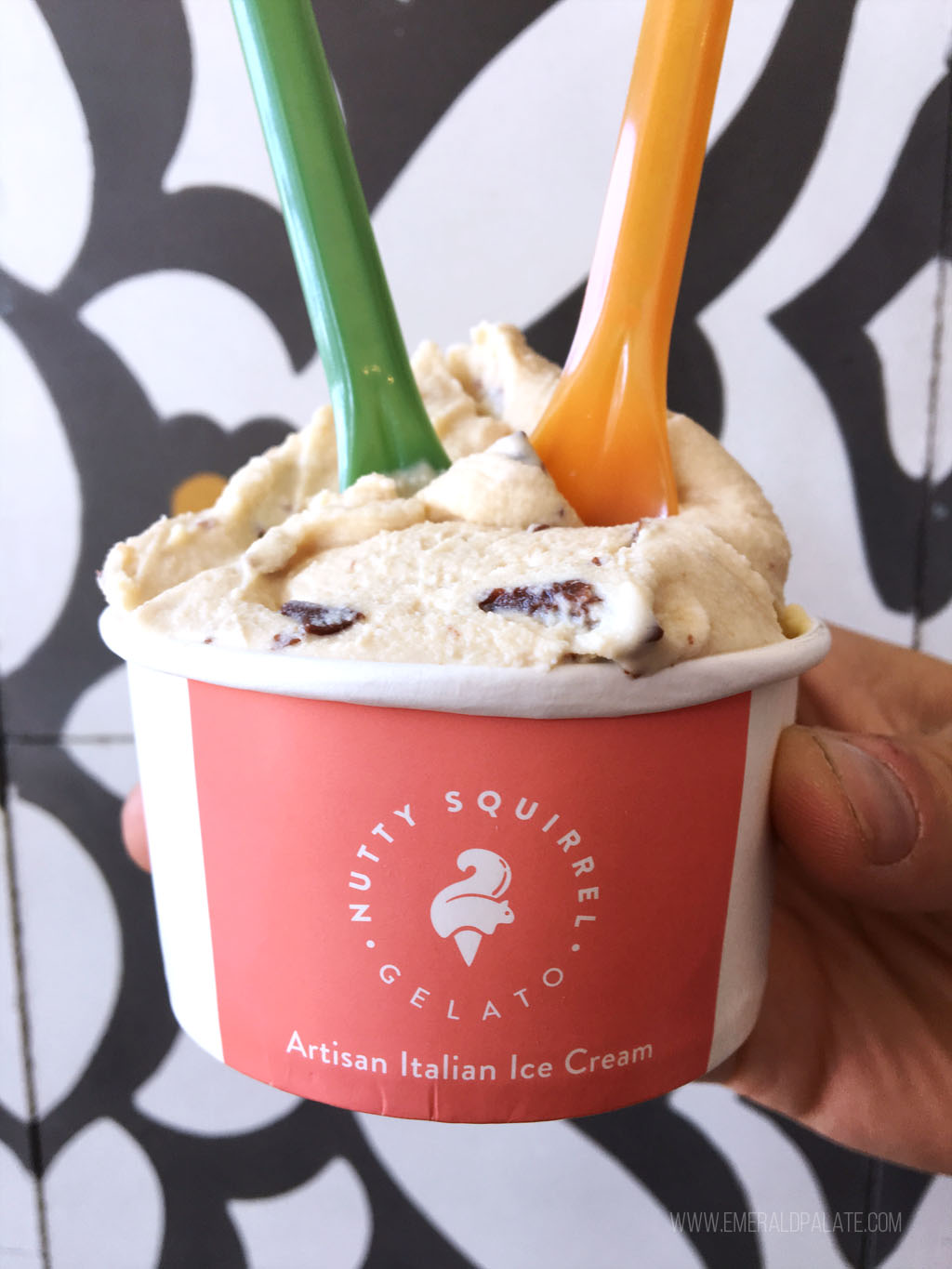 Nutty Squirrel gelato