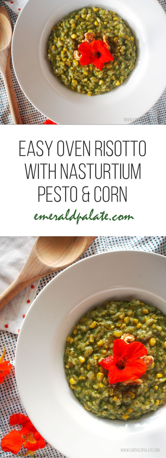 Easy oven risotto recipe with corn, nasturtium pesto, and homemade corn stock. it is the perfect vegetarian risotto recipe that is fairly quick to make compared to traditional risotto recipes!
