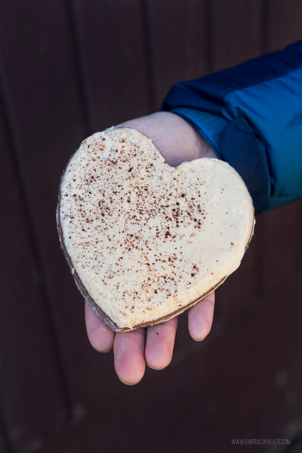 person holding heart shaped gingerbread cookie with icing in Leavenworth