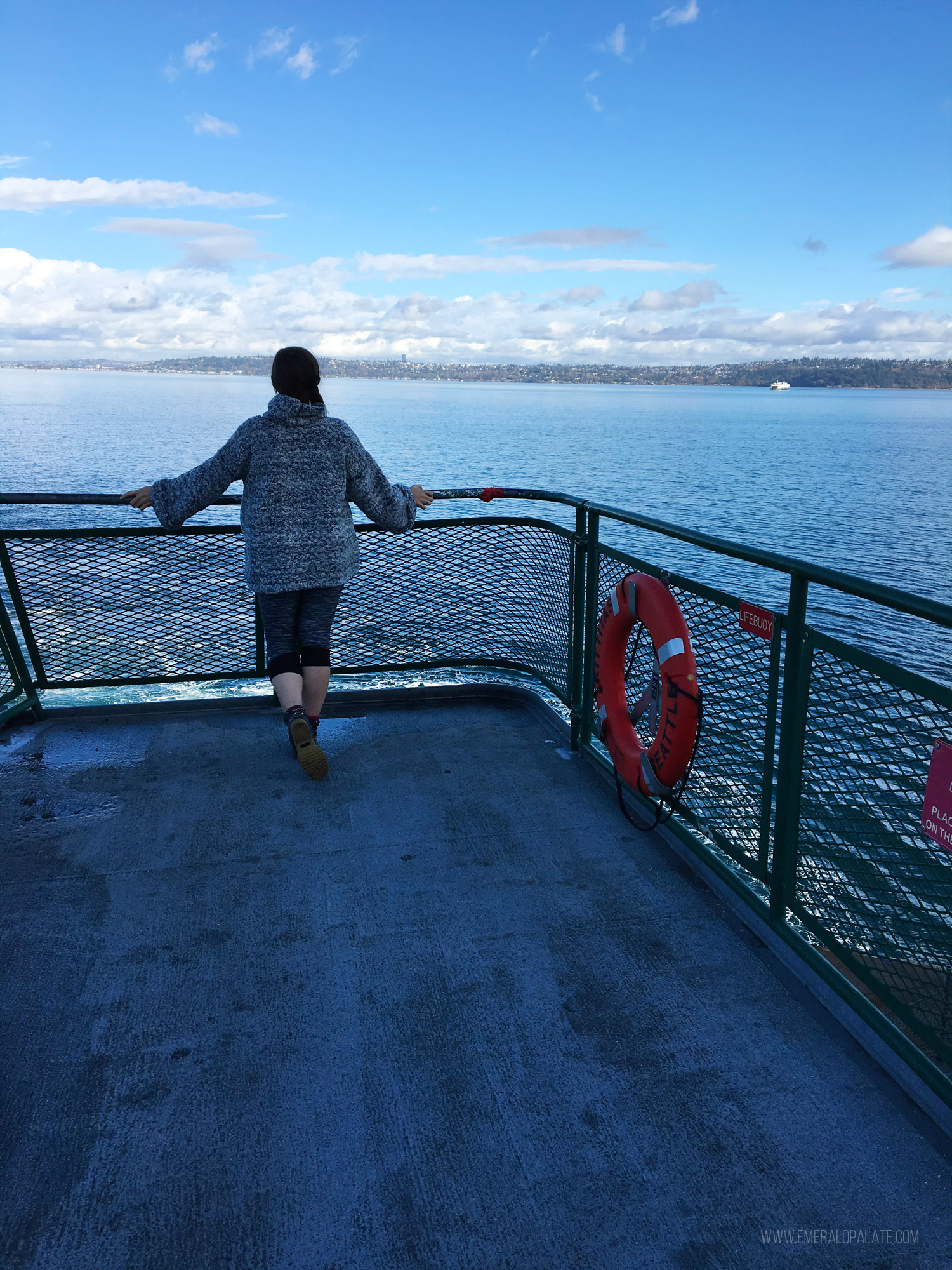 woman looking out from ferry boat 