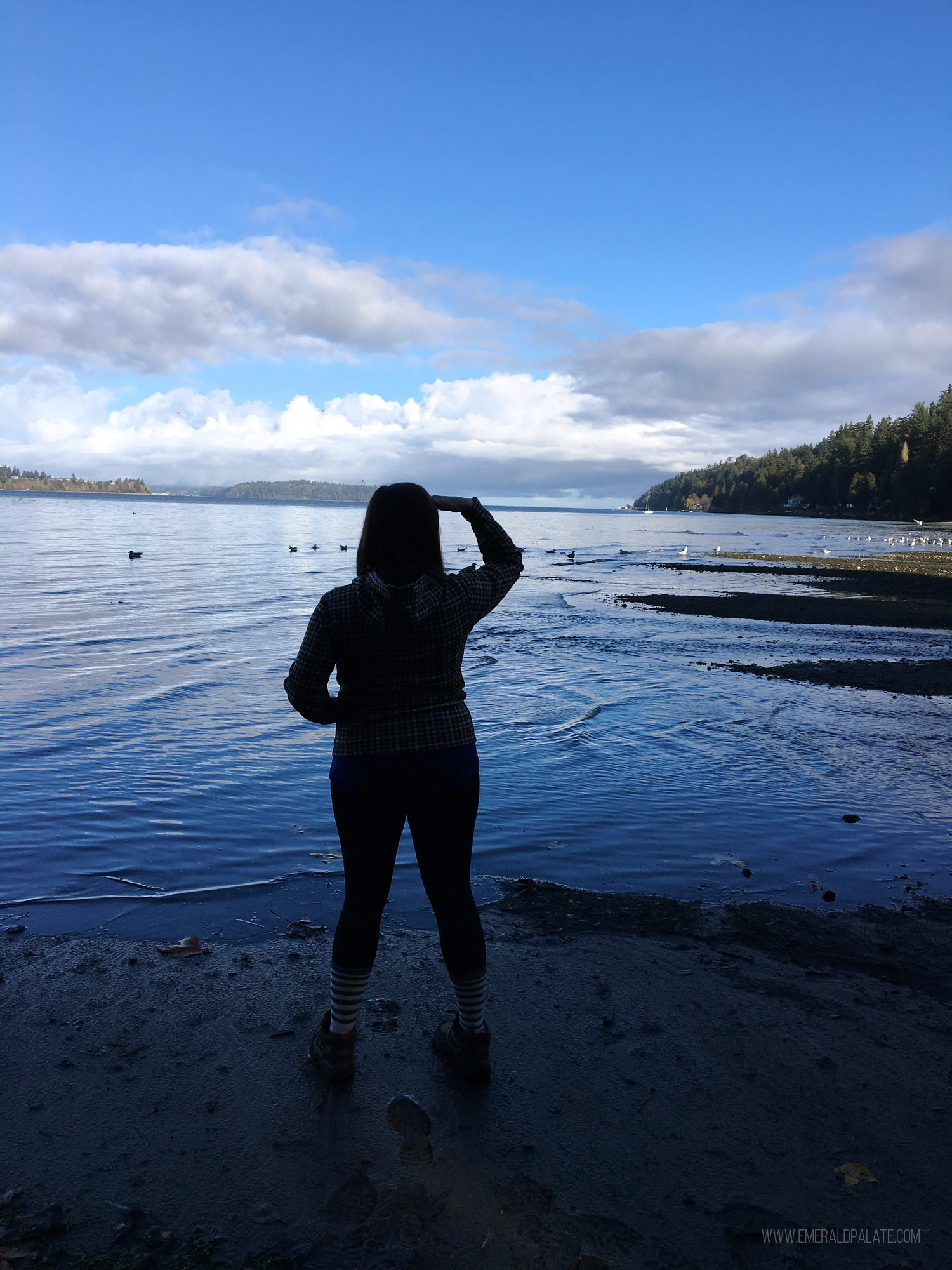 woman looking out over water on Vashon Island hike