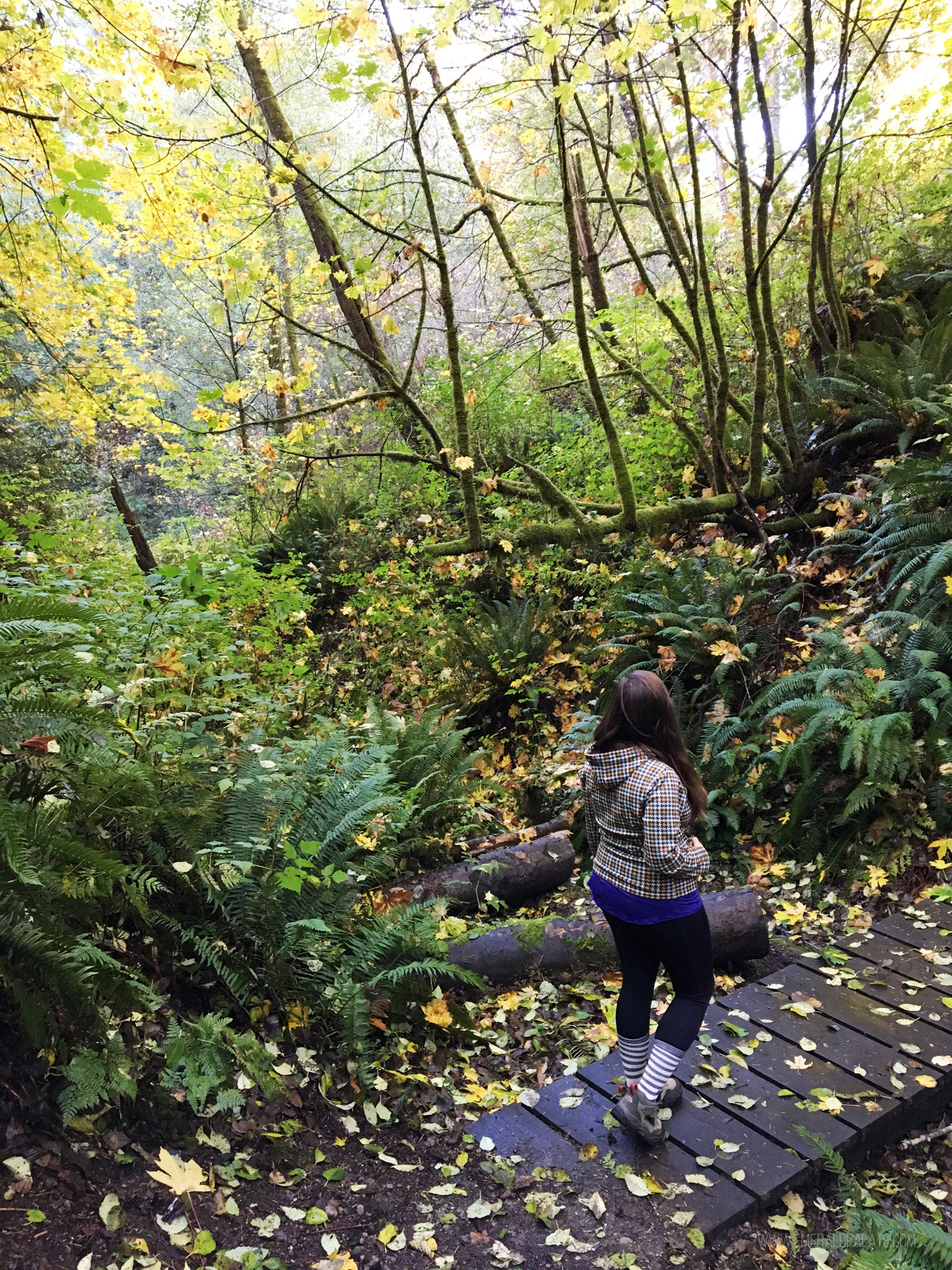 woman walking along wooded trail on Vashon Island