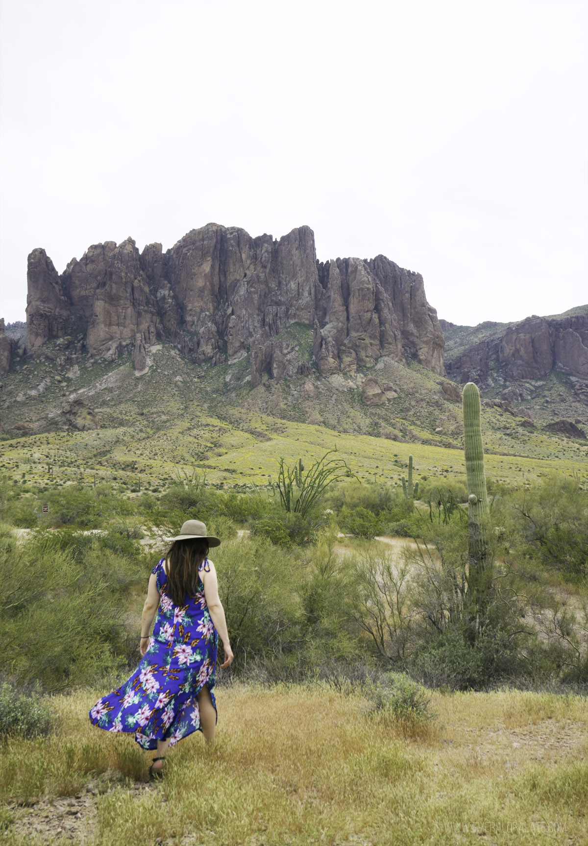 woman in a dress walking in grass with Superstition Mountains and cactus in the background