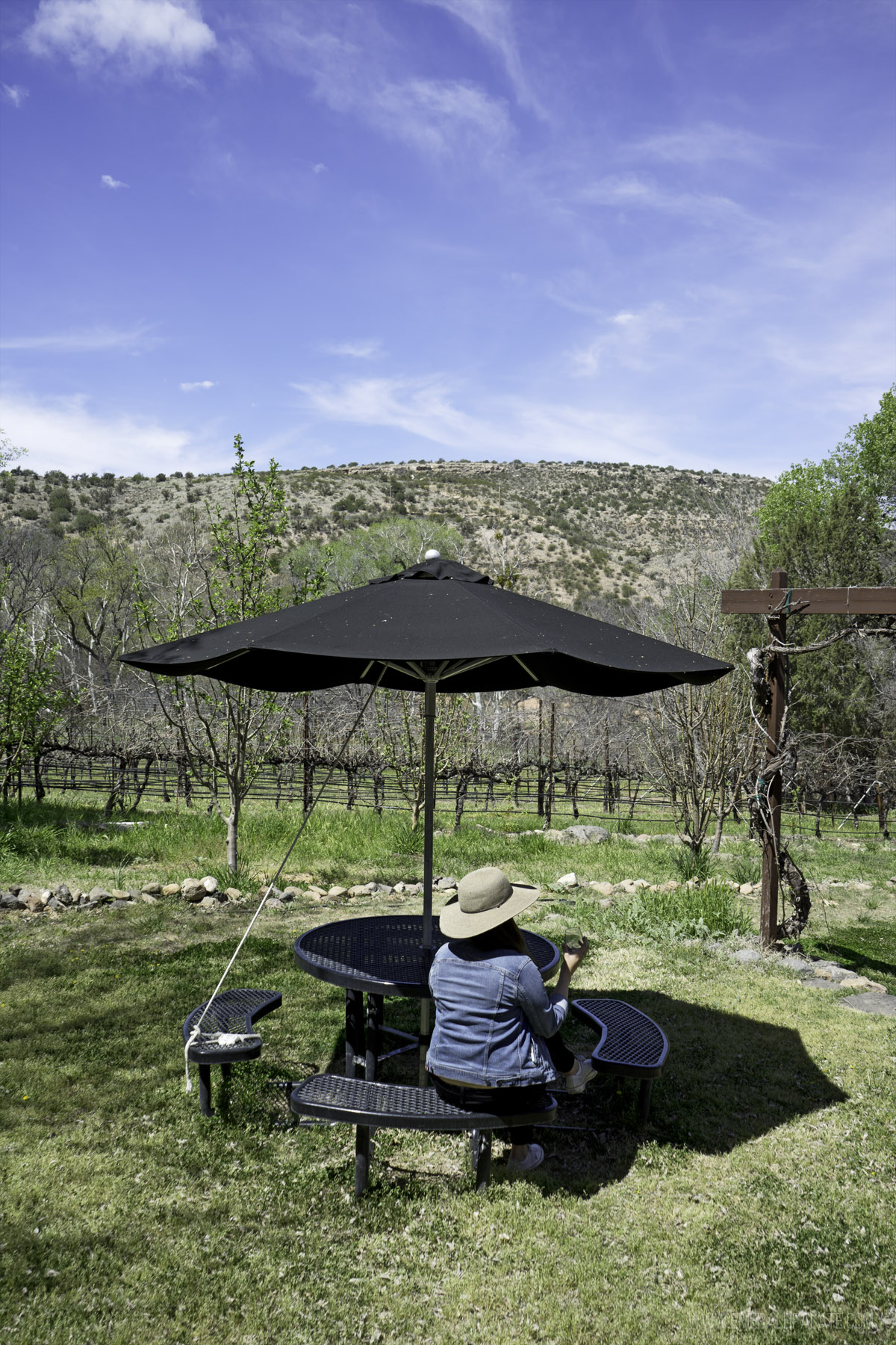 woman sitting at an outdoor table with an umbrella at a winery