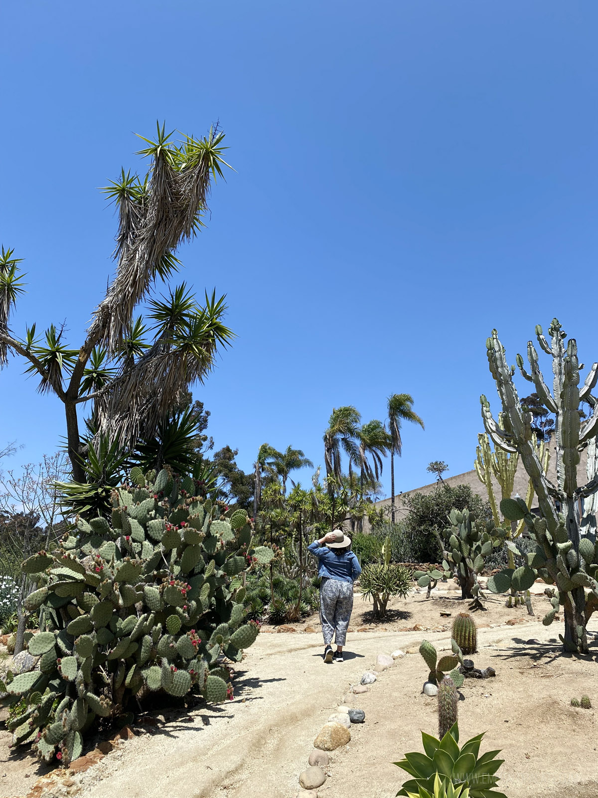 woman walking through a cactus garden at Balboa Park
