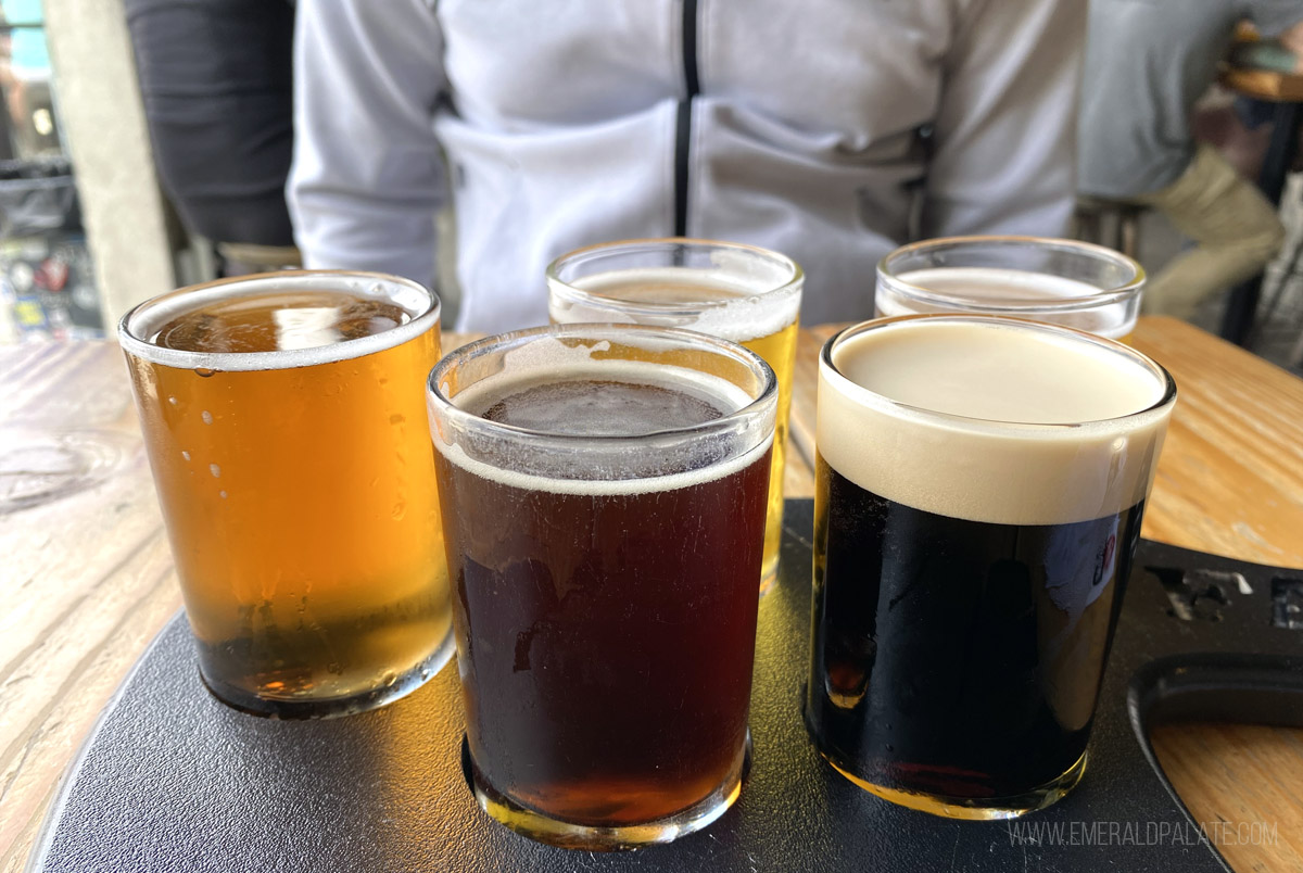 beer tasting samplers you should try on a 3 day San Diego itinerary