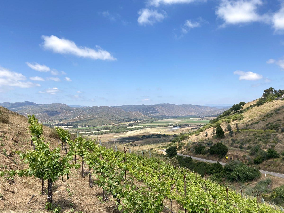 view of a wine region near San Diego