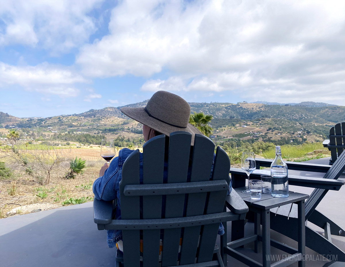 woman enjoying the view while drinking wine in San Diego