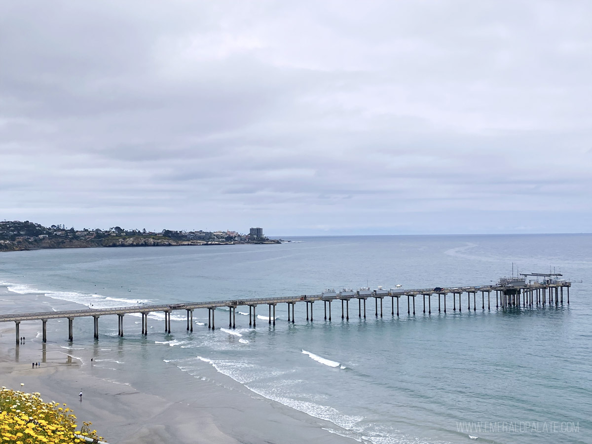View of the Pacific Ocean from Scripps Pier in San Diego