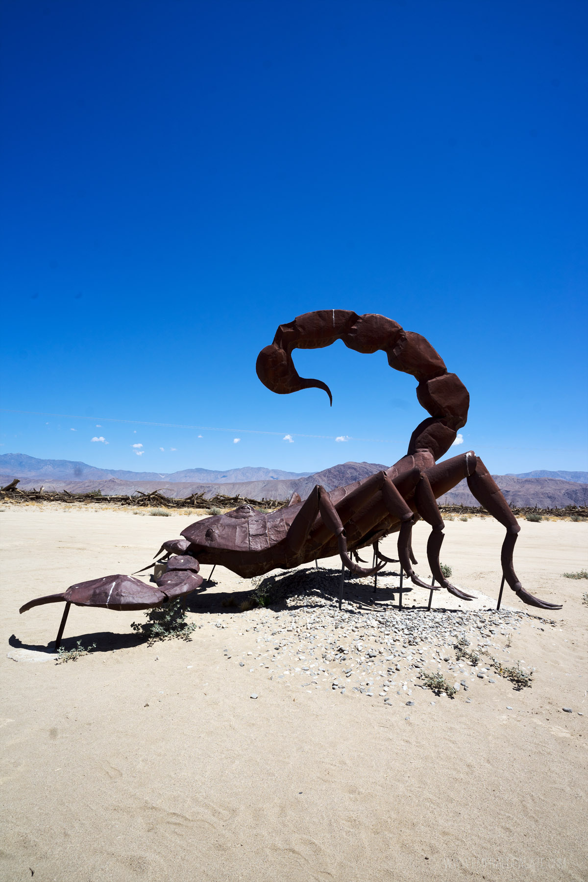 huge scorpion sculpture in the desert