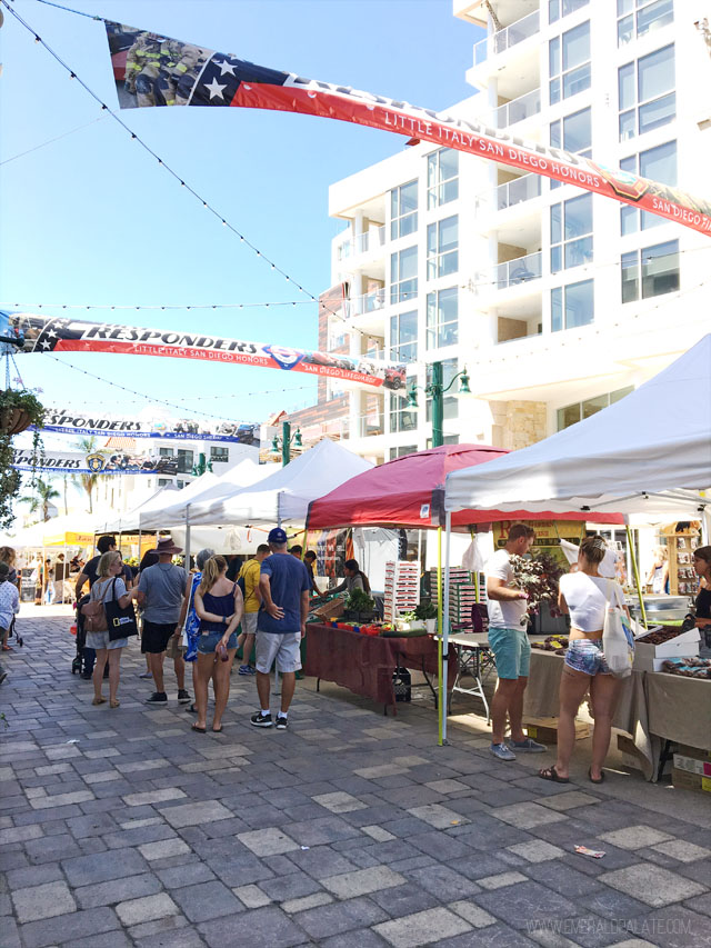 San Diego 3 Day Itinerary You'll Want to Steal The Emerald Palate