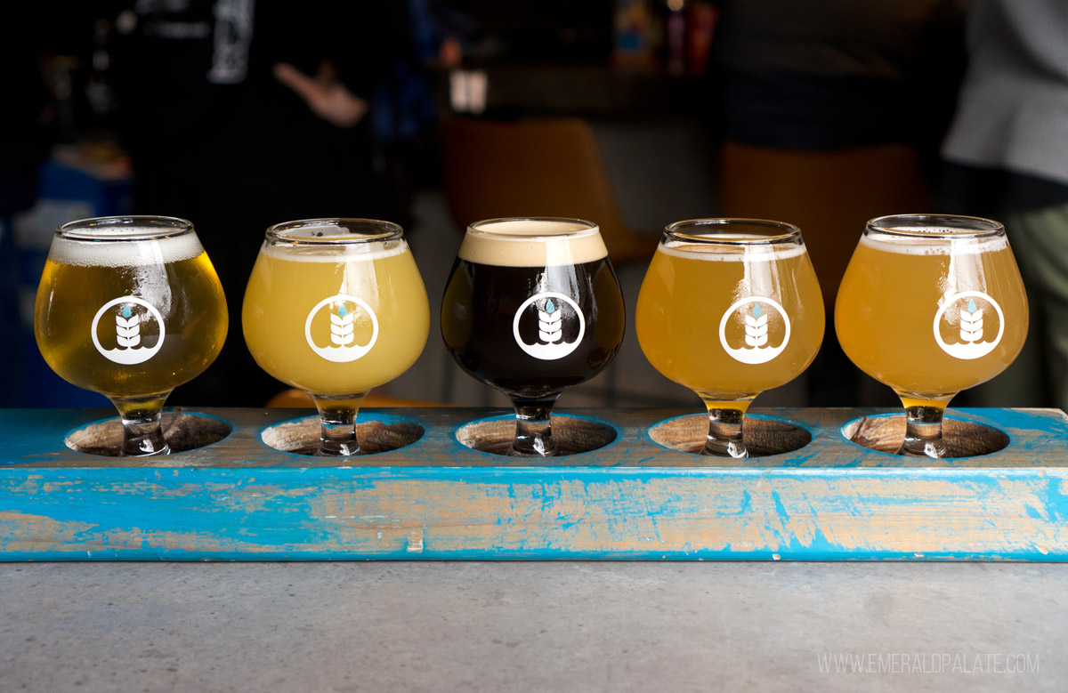 row of 6 beer tasters at a SD brewery