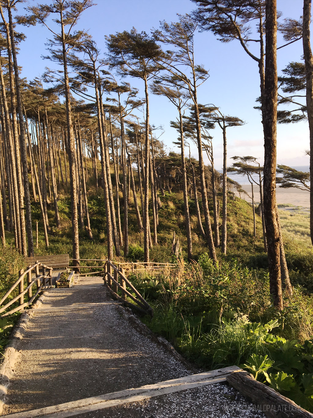 path down to the beach in Seabrook, WA