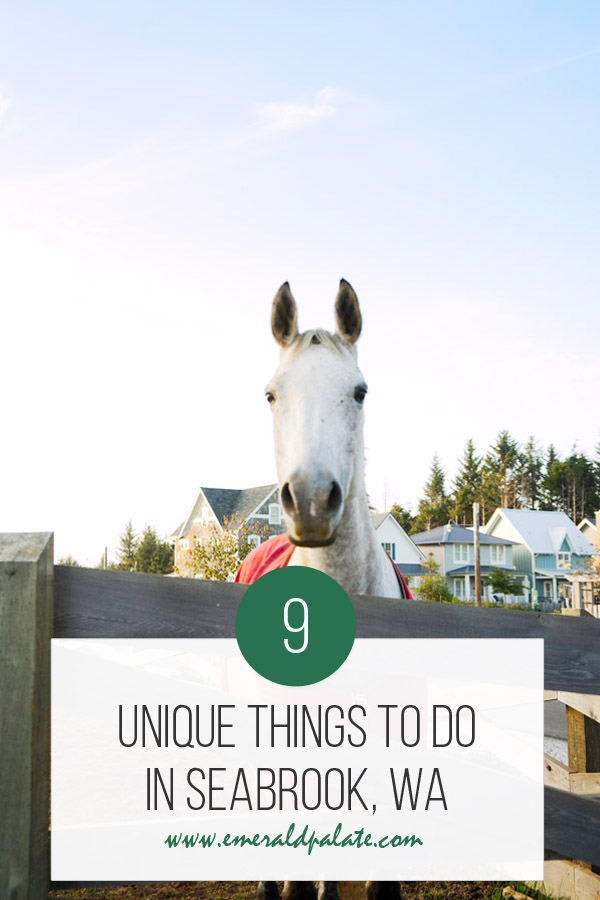 unique things to do in Seabrook, WA, a small beach town on the Washington coast