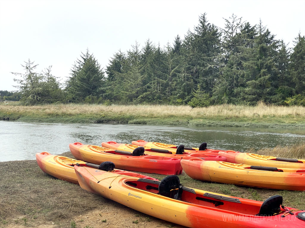 canoes on a bank