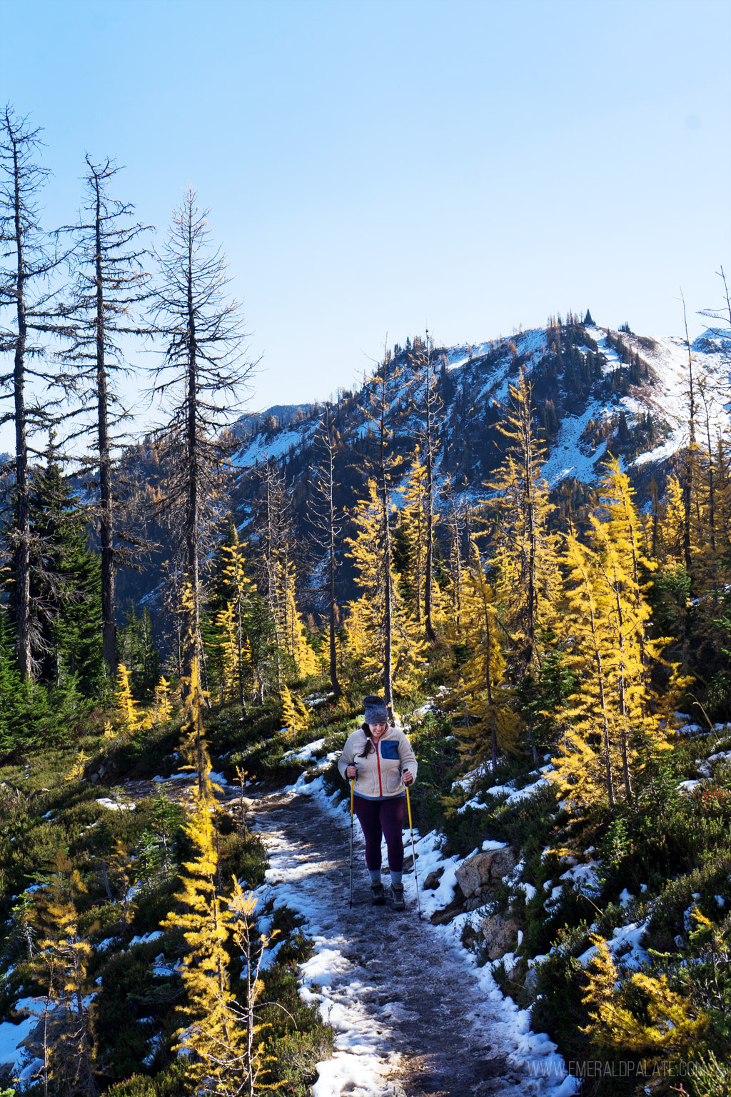 woman doing Heather-Maple Pass Loop, a hike known for larches in Washington | Best Road Trips from Seattle