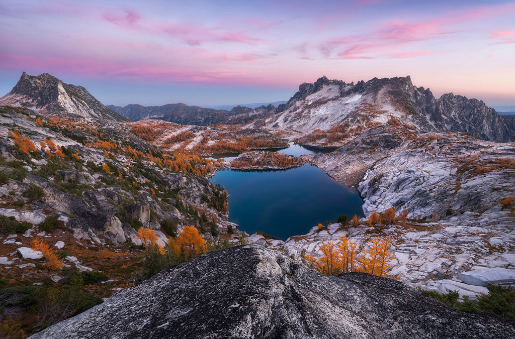 Larches at The Enchantments in Washington