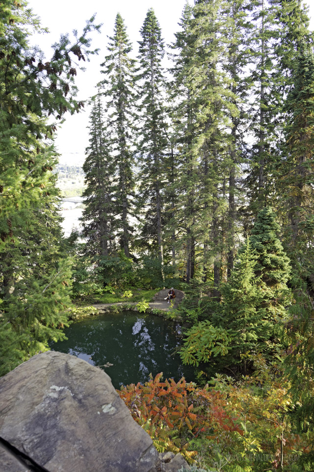 Pool among trees at Ohme Gardens, a fun thing to do in Wenatchee, Washington