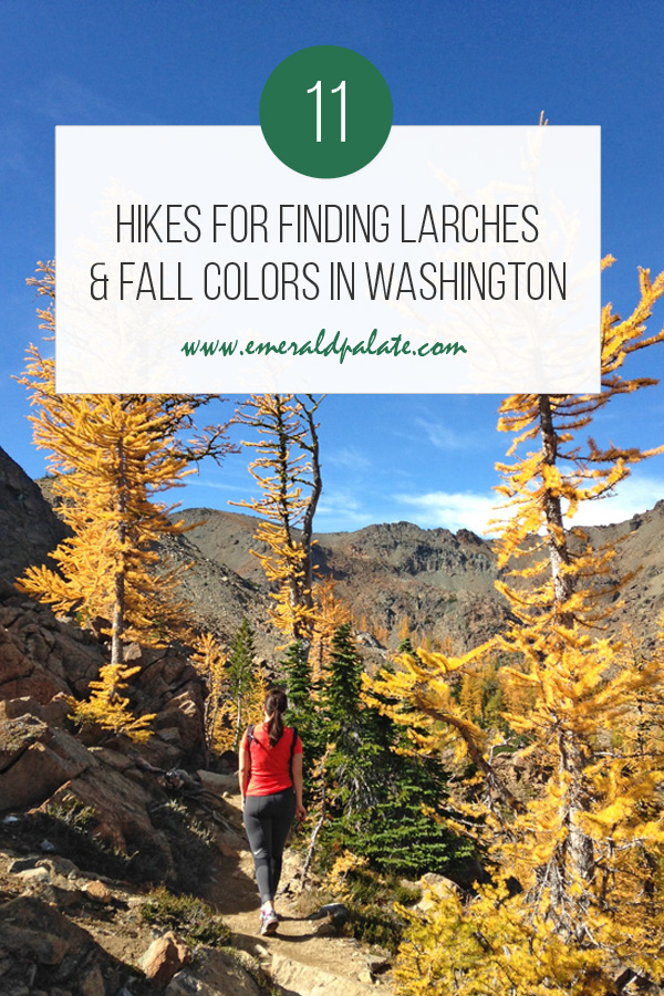 Roundup of the best larch hikes for seeing fall colors in Washington  state